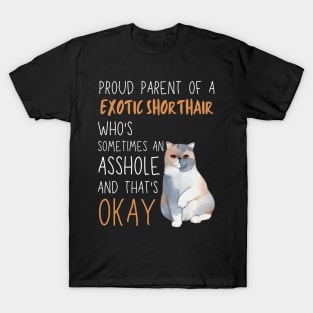 Proud Parents of Exotic Shorthair Pet Cat T-Shirt